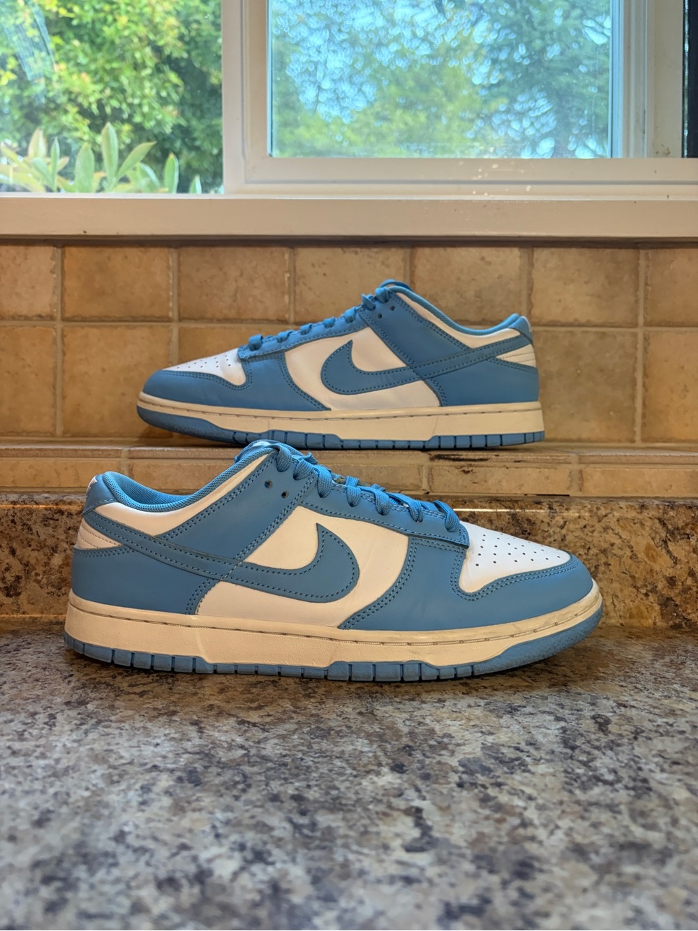 Nike Dunk Low UNC